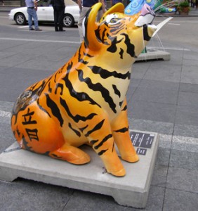 Chinese Tiger Pig Cincinnati, OH
