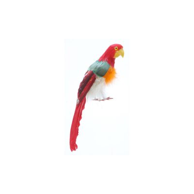 Feathered parrot in bright colors measuring 12 inches.