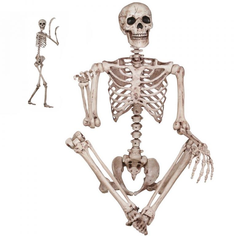 Buy posenstay poseable skeleton Halloween Decoration Cappel's