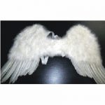 Child's Feather Angel Wings