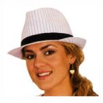 Pinstripe Fabric Fedora Hat