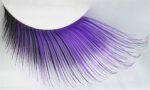 Eyelashes long luxurious purple black
