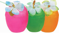 Coconut Plastic Drinking Cups With Flower and Straw