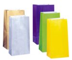 10 Inch Paper Party Bags - Assorted Colors