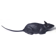 Hard Plastic Black Rat