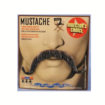 Muskateer Mustache