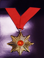Vampire Medallion on Red Ribbon