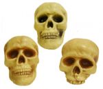 Plastic Skull - Assorted Styles