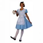 Alice Costume Dress