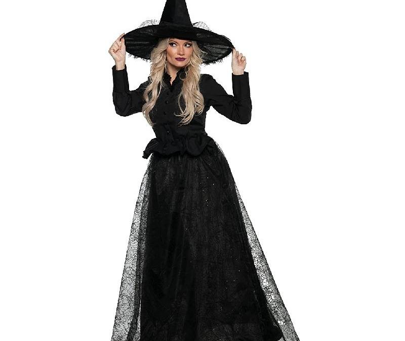 Wicked Witch Adult Costume