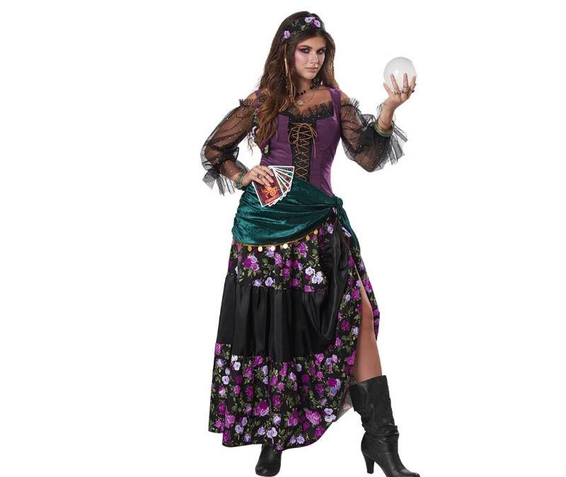 Mystical Charmer Gypsy Fortune Teller Halloween Costume