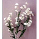 Silk Baby Breath Spray