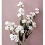 Silk Baby Breath Spray