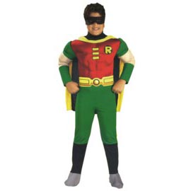 Robin Costume