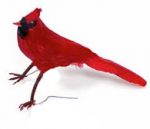 6 Inch Closed Wings Feathered Cardinal