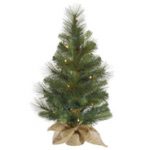 Balsam Pine Christmas Tree with Burlap base