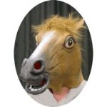 Horse or Donkey Mask