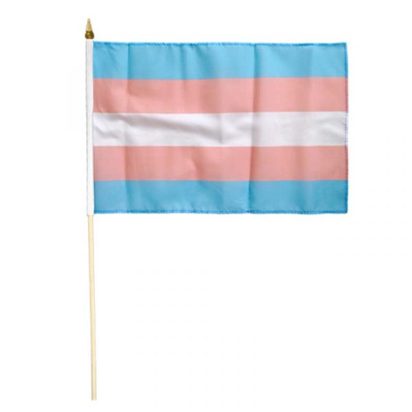 Transexual Flag