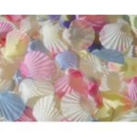 Seashell Dew-Drop Petal-Fetti - Watercolor Pastel