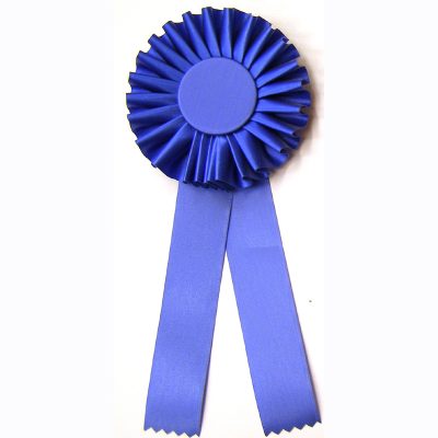 Blue rosette award ribbon - Blank
