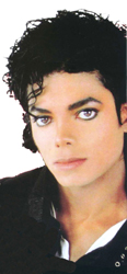 Michael Jackson Wig