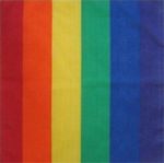 Bandanna Broad Rainbow Stripe