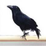 Black Feathered Standing Crow, 7 1/2"