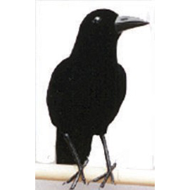 Black Feathered Standing Crow, 13 inch