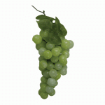 Round Grape Cluster - Green