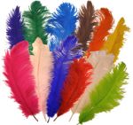 Ostrich Plumes & Feathers - 16 in - 22 in tall
