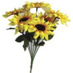 Sunflower Bush x 7