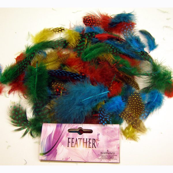 Multi color assort of Guinea feathers