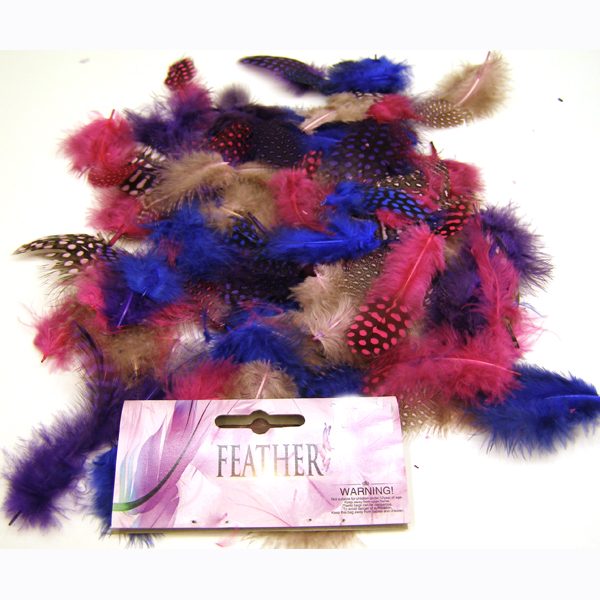 Guinea Feather Assortment