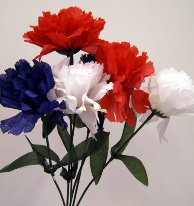 Red, White and Blue Carnations on Stem