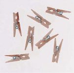 mini spring clothespins