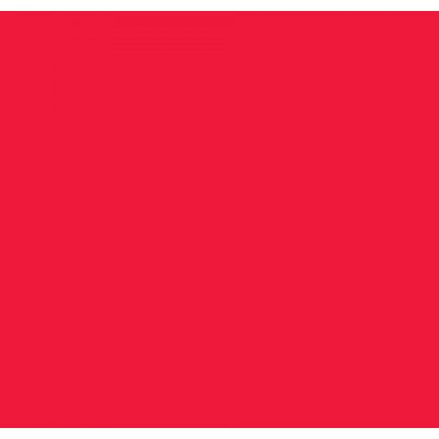 Red Foamies 18 x 12 sheet