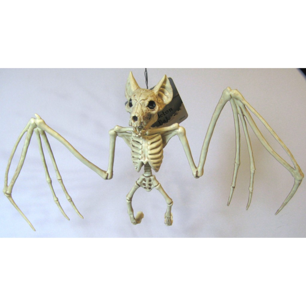 Plastic Animal Skeleton 9 - 12 inches - Cappel's