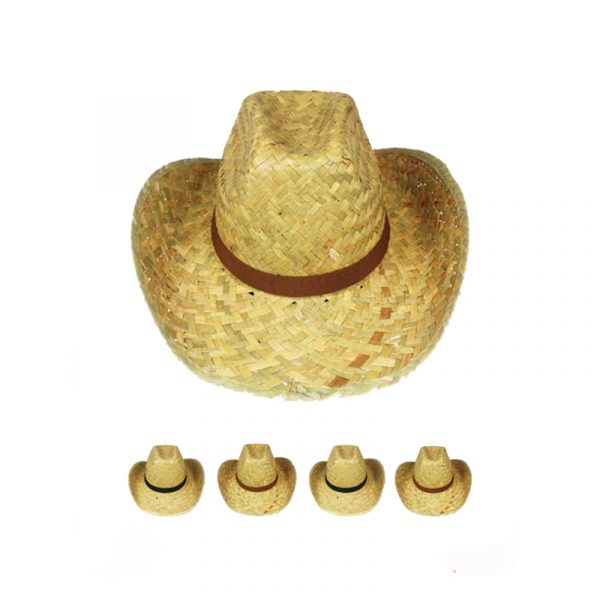 Straw Western Hat