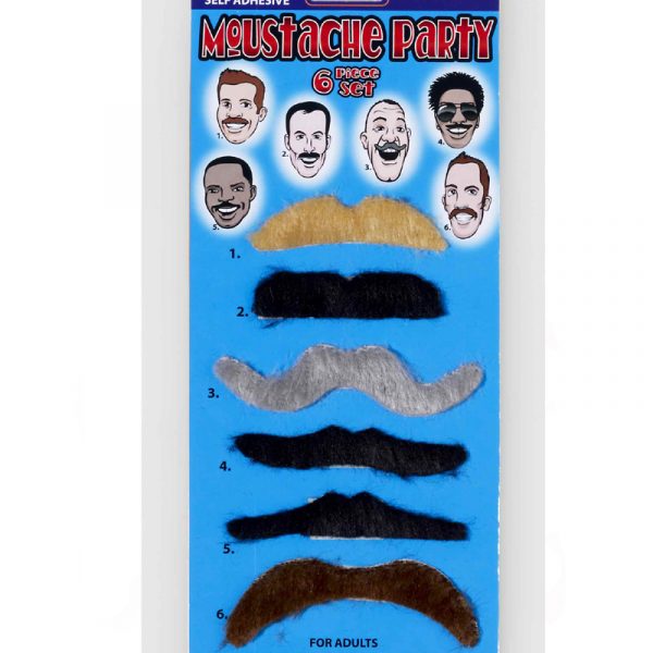 6 Piece Assorted Moustache Set