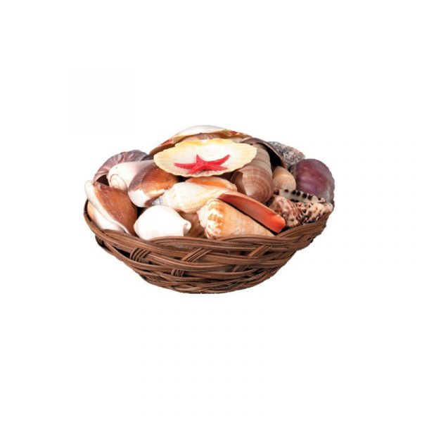 Round Basket of Seashells