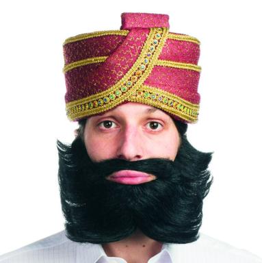 Costume Super Deluxe Guru Styled Beard