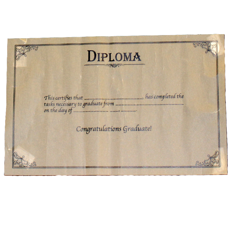 Diploma Paper