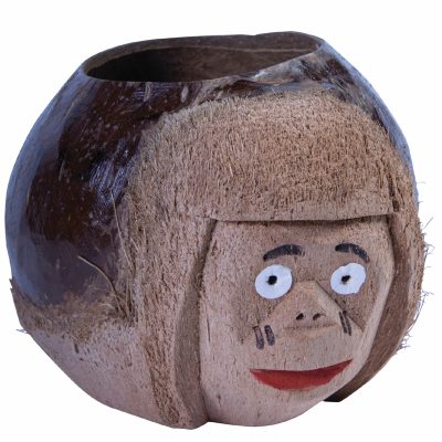 Natural Coconut Monkey Drink Holder