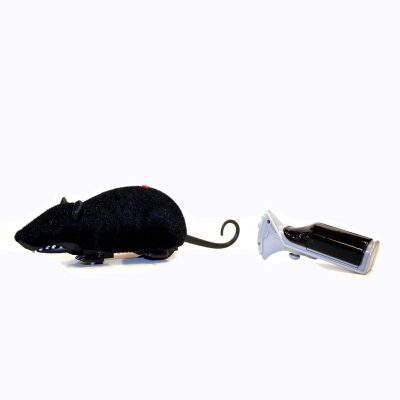Costume Remote Control Furry Rat