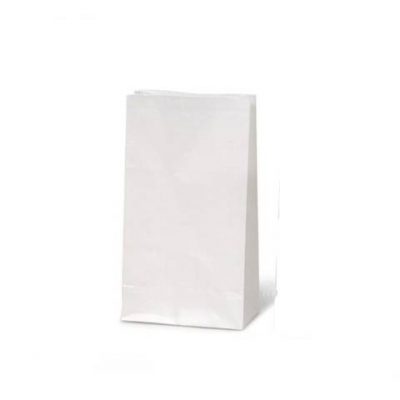 Bulk White Paper Craft Bag - Luminary Bag