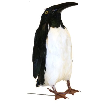 9" Feather Penguin