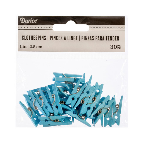 Light Blue 1 Inch Solid Color Craft Mini Clothespins