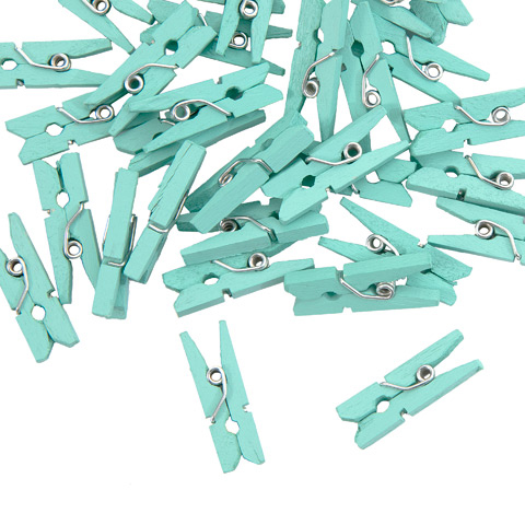 Mint 1 Inch Solid Color Craft Mini Clothespins