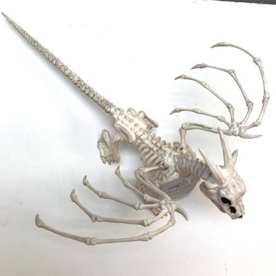 15" Plastic Skeleton Dragon
