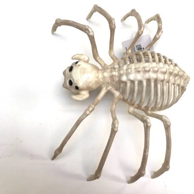 14" Costume Plastic Skeleton Spider